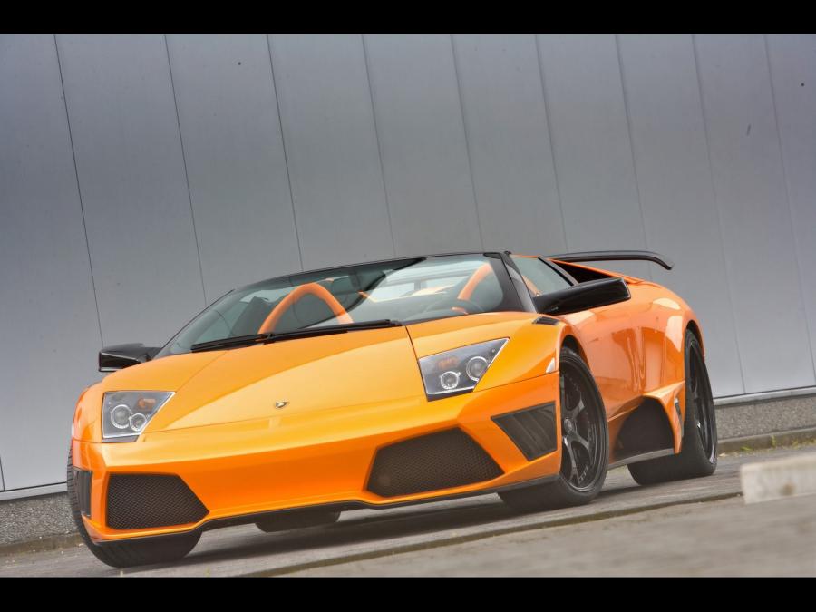  Lamborghini Murcielago Spyder by IMSA 2009 года  (фото 18 из 19)